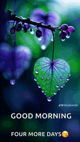 a picture of a heart shaped leaf with the words good morning four more days