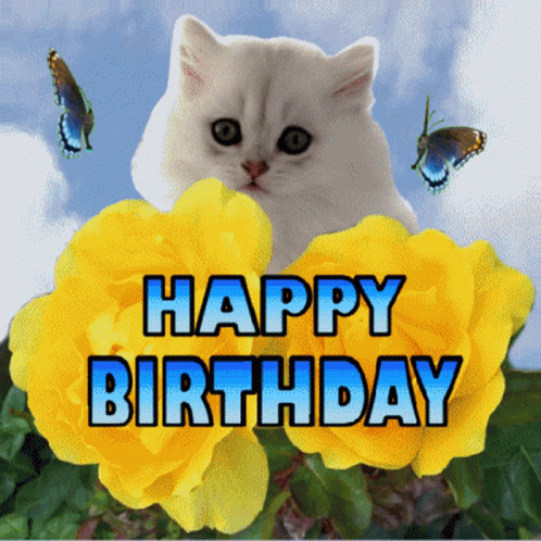 Happy Birthday Kitten Birthday GIF - Happy Birthday Kitten Birthday Kitten And Butterflies GIFs