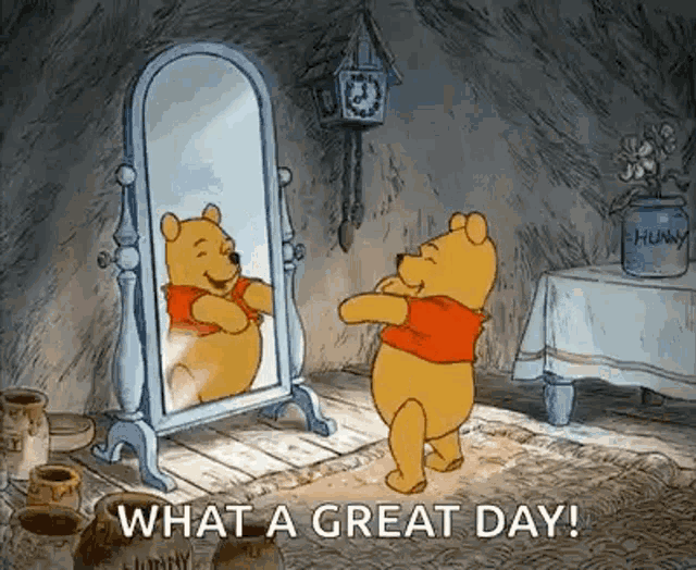 winnie the pooh is looking at himself in the mirror and saying what a great day .