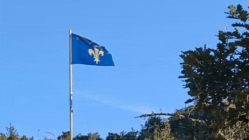 a blue flag with a fleur de lis on it is flying in the wind