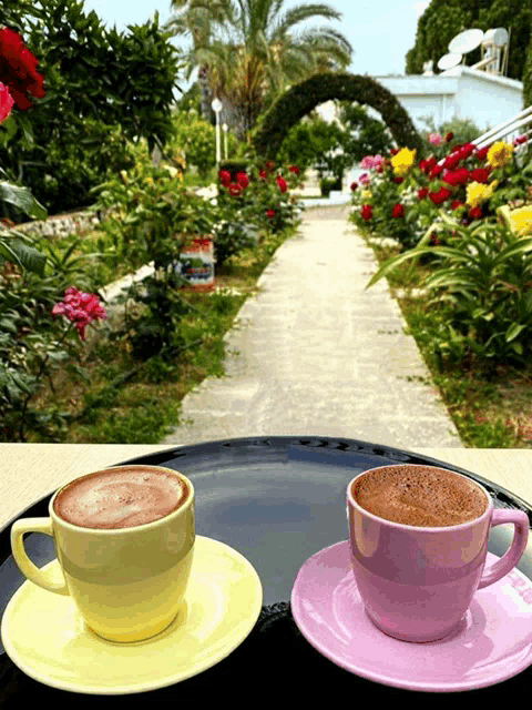 two cups of coffee sit on a saucer on a table