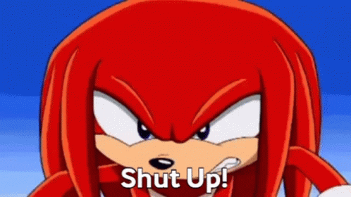 Sonic Knuckles The Echidna GIF - Sonic Knuckles The Echidna Sonic X GIFs