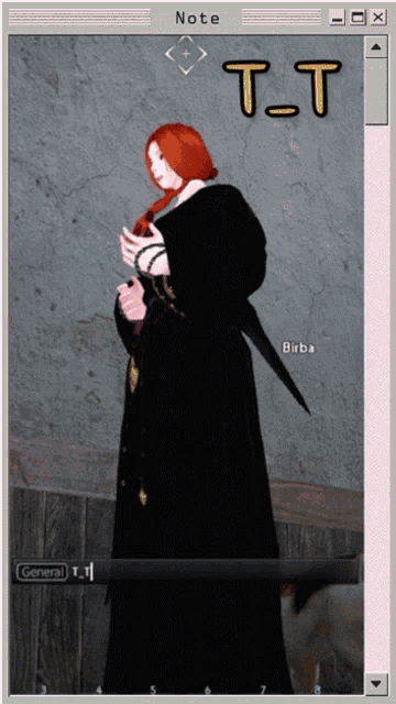 a screenshot of a video game with the name birba