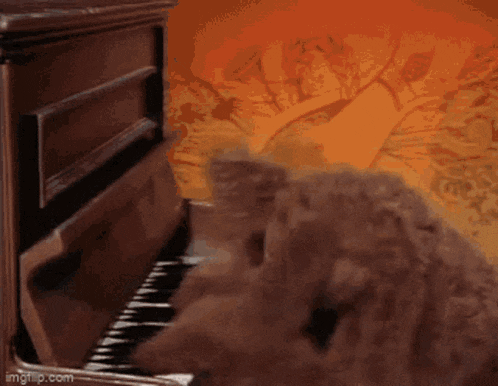 a cat is playing a piano in front of a fire background