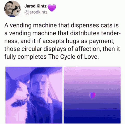 a vending machine that dispenses cats is a vending machine that distributes tender ness and it if accepts hugs as payment