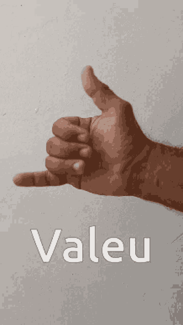 a hand is giving a thumbs up and the word valeu is on the bottom