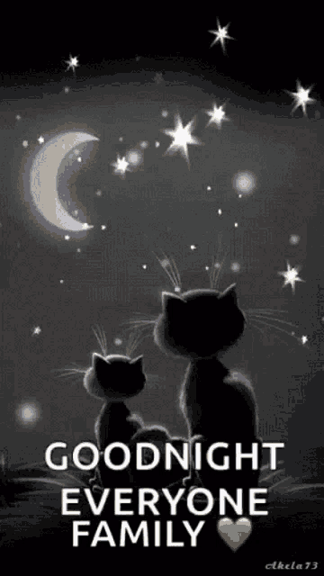two cats are sitting under a starry night sky with the words goodnight everyone family written below them .