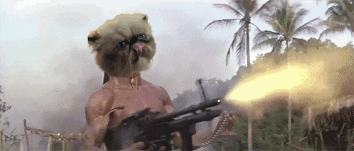 a man with a cat on his head is holding a gun in front of palm trees .