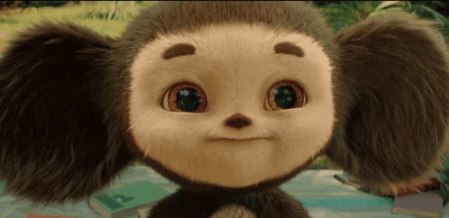 a close up of a stuffed animal with a book in the background