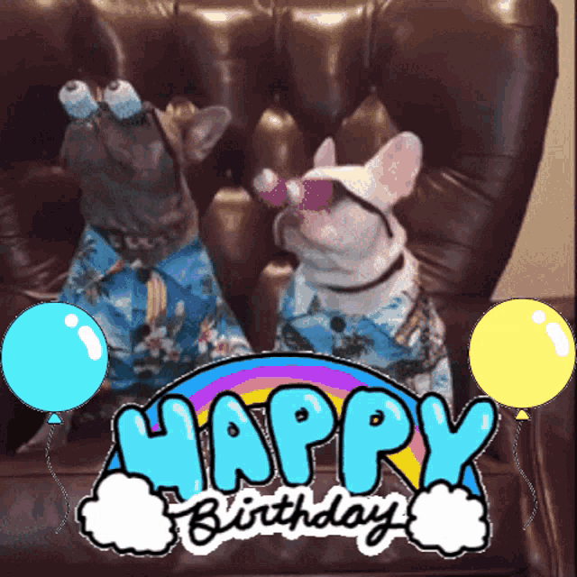 Happy Birthday Dogs Googly Eyes GIF - Happy Birthday Dogs Googly Eyes Pup GIFs