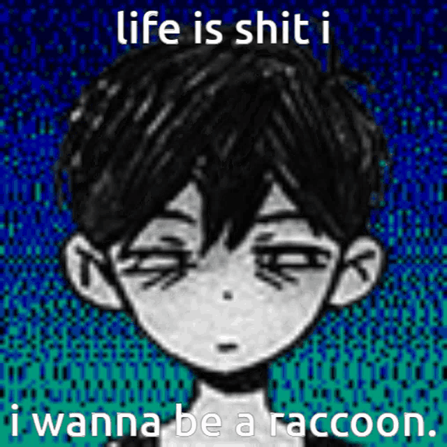 a black and white drawing of a boy with the words life is shit i wanna be a raccoon below it