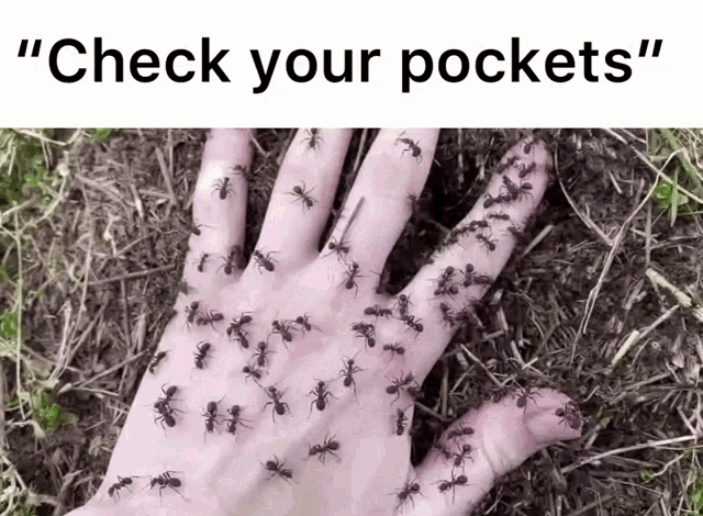 Ants In Yo Pockets GIF - Ants In Yo Pockets GIFs