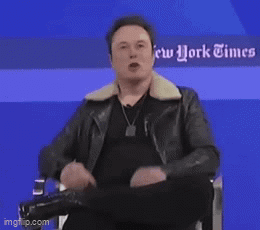 Elon Elon Musk GIF - Elon Elon Musk Poor GIFs