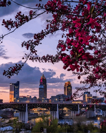 a bridge over a river with a city skyline behind it