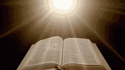 a close up of an open bible with the sun shining through it .