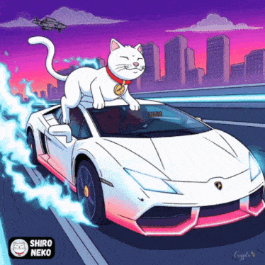a cartoon of a cat riding on top of a white car with the word shiro on it