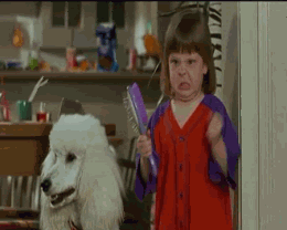 You Wave That Hairbrush Guurrrl GIF - Hairbrush Poodle Angry GIFs