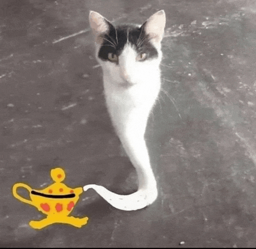 a black and white cat with a long tail is standing next to a drawing of a lamp .