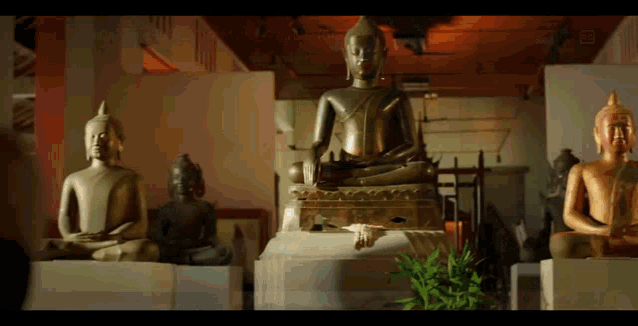 a group of buddha statues are sitting on display in a room