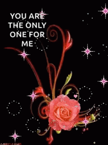 Love Only One GIF - Love Only One Sparkles GIFs
