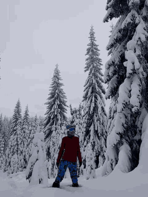 a person in a red jacket and blue pants stands in the snow