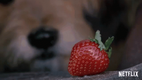 Eat Strawberry Yum GIF - Eat Strawberry Yum Strawberry GIFs