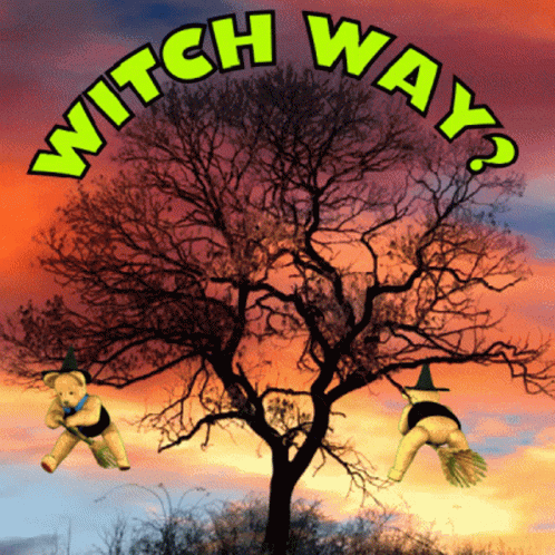 Which Way Witch Way GIF