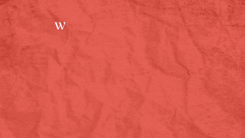 when the stars make you drool is written in white on a red background