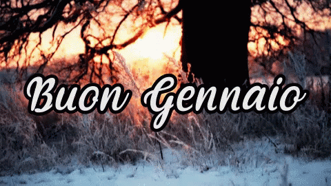Buon Gennaio Gennaio Freddo Primo Mese Dell'Anno Congelo GIF - Enjoy Your January January Cold GIFs