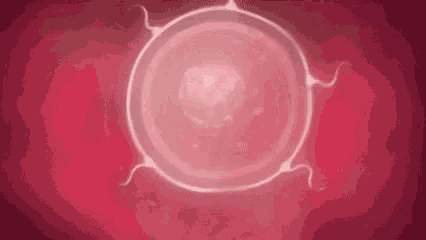 a close up of a sperm in a woman 's womb .