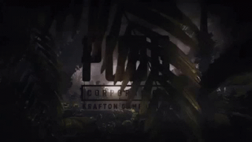 Pubg Pubg Corporation GIF - Pubg Pubg Corporation Krafton Game Union GIFs