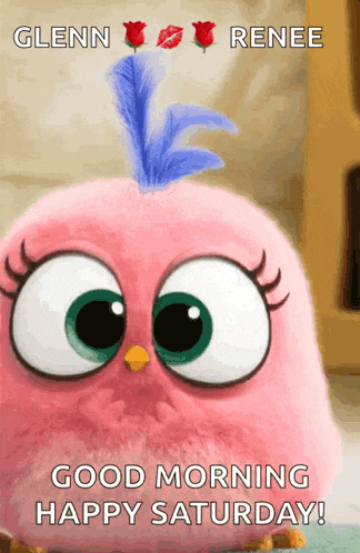 a pink angry bird with a blue feather on its head says " good morning happy saturday "