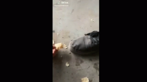 Feed Me Hungry GIF - Feed Me Hungry Foot GIFs