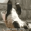 a panda bear is laying on its back in a chair with its paws up .