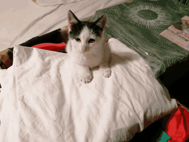 a black and white kitten is laying on a white pillow next to a bag that says christmas