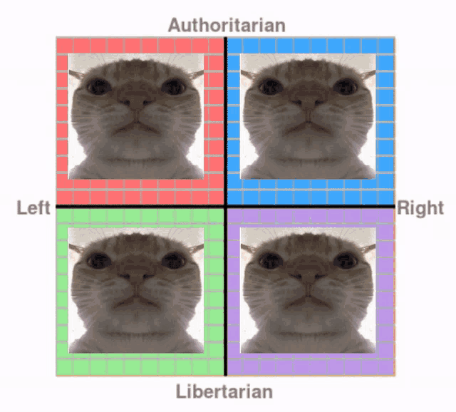 four pictures of a cat with the words authoritarian left right and libertarian at the top