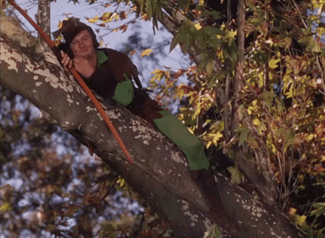 Errol Flynn Robin Hood GIF - Errol Flynn Robin Hood Salute GIFs