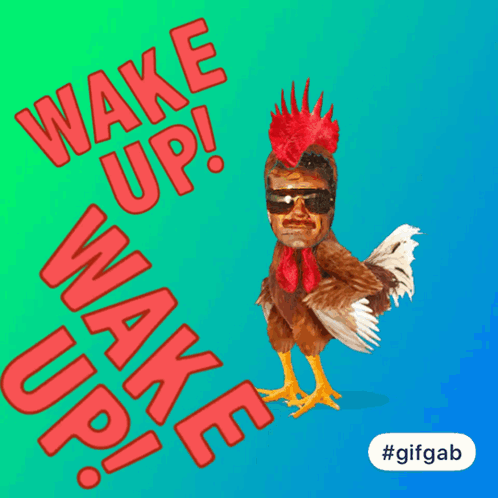 Wake Up Wakey Wakey GIF - Wake Up Wakey Wakey Rise And Shine GIFs
