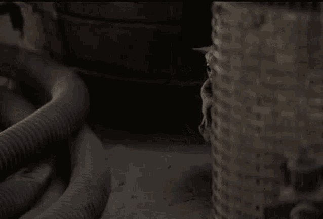 a baby yoda is standing next to a hose and a brick wall .