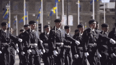 Sweden Military GIF - Sweden Military Parade GIFs