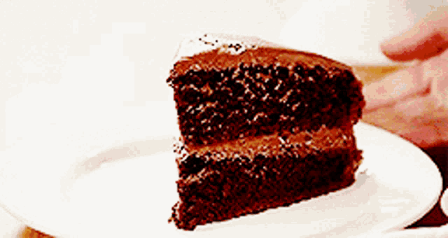 a piece of chocolate cake is on a white plate