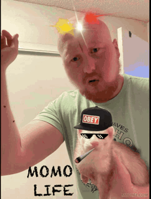 a man wearing an obey hat is holding a monkey