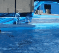 a person in a wet suit is standing in a pool