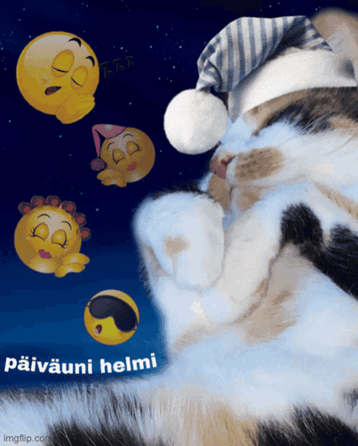 a cat wearing a sleep cap is surrounded by sleeping faces and the words " paivauni helmi " on the bottom