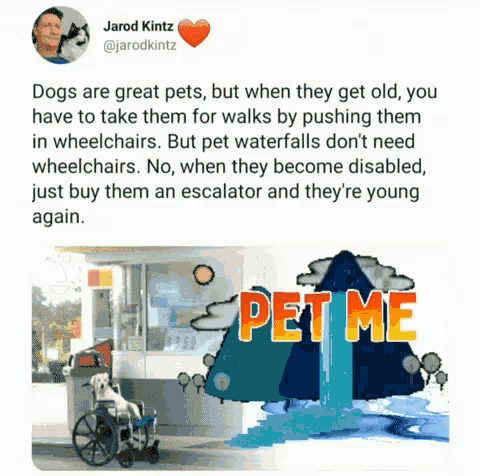 a picture of a dog in a wheelchair with the words pet me below it