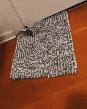 Cat Silly GIF - Cat Silly Carpet GIFs