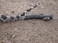a broken piece of metal is laying on the ground on the ground .