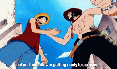 a cartoon of luffy and ace shaking hands with the caption loaf and moonflower getting ready to carryus