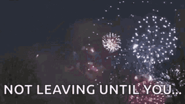 Fireworks Not Leaving Until You GIF - Fireworks Not Leaving Until You Grand Finale GIFs