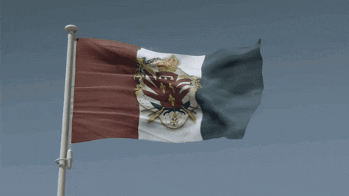 a flag with a coat of arms on it is flying in the wind